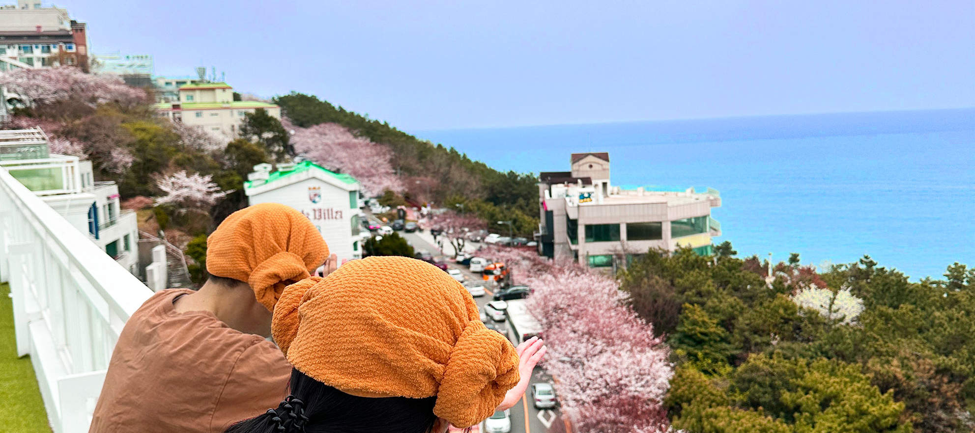 但最好還是和某人一起看～ 一場浪漫的賞櫻之旅。